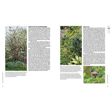 Beginner's Guide to Layered Edible Gardens