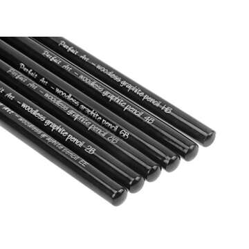 High-density Woodless Graphite Pencil Set Drawing Pencil Kit Essential Sketching Pencils Art Pencils Set HB 2B 4B 6B 8B EE Assorted Degrees for Beginner Professional Artist, Set of 6
