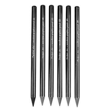 High-density Woodless Graphite Pencil Set Drawing Pencil Kit Essential Sketching Pencils Art Pencils Set HB 2B 4B 6B 8B EE Assorted Degrees for Beginner Professional Artist, Set of 6