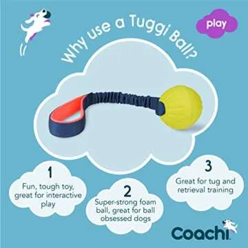 Coachi Tuggi Ball - Interactive Dog Toy for Tug of War & Play. Strong & Comfortable, Stretchy Bungee...