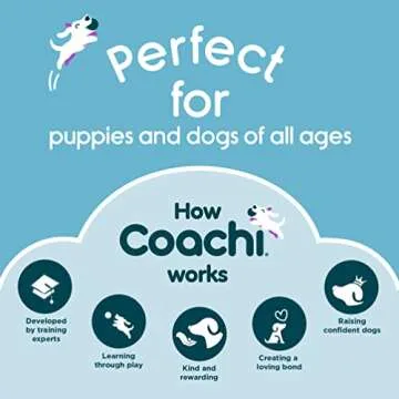 Coachi Tuggi Ball - Interactive Dog Toy for Tug of War & Play. Strong & Comfortable, Stretchy Bungee Handle, Reward Training, Interrupting Biting & Chewing. Ideal for Agility and Suitable for Puppies