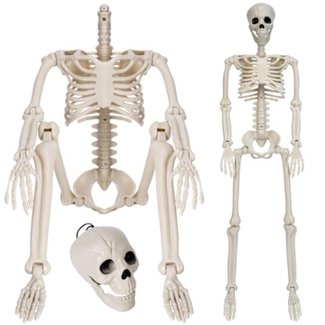 Sizonjoy 36" Posable Halloween Skeleton Decorations, Full Body Realistic Bones with Movable Joints f...