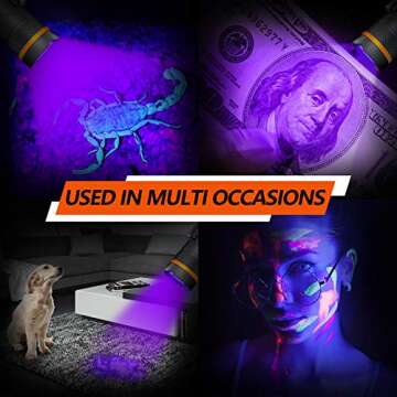 NICRON N72-UV 800LM UV Flashlight for Camping & Emergencies