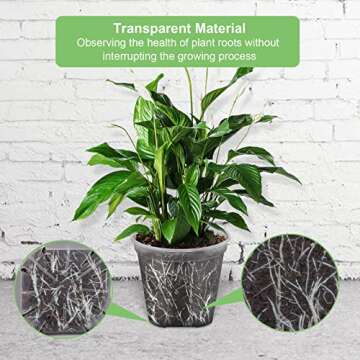 GREENPARA Transparent Planter Set - Stylish and Durable Plant Pots