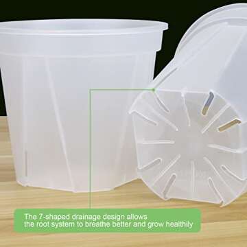 GREENPARA Transparent Planter Set - Stylish and Durable Plant Pots