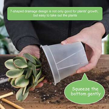 GREENPARA Transparent Planter Set - Stylish and Durable Plant Pots
