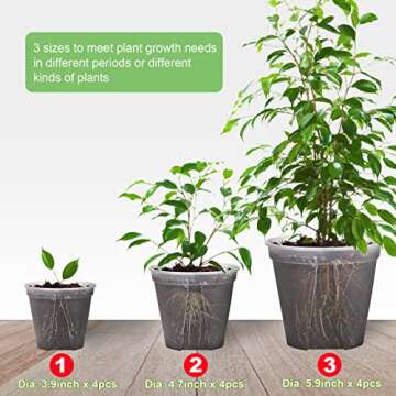 GREENPARA Transparent Planter Set - Stylish and Durable Plant Pots