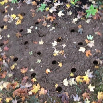 Edward Tools Bulb Planter - Automatic Soil Release & Depth Marker