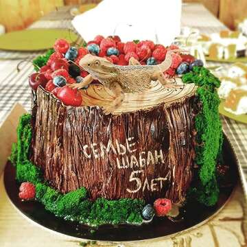 Rismise Lizard Figurine Toys Lizard Animals Figures Lizard Toys Plastic Lizard Model Bearded Dragon Animal Figurines for Cake Decoration Educational Toys Gecko Animal Trick Reptile Prank Props