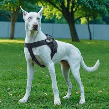 Durable Tactical Dog Harness for Medium Large Dogs