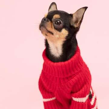 Fitwarm Valentines Dog Sweater for Small Pets