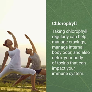 Liquid Chlorophyll Drops for Immune Support & Detox