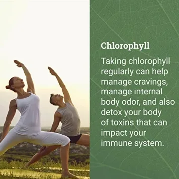 Liquid Chlorophyll Drops for Immune Support & Detox