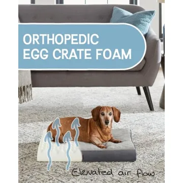Orthopedic 24 Inch OhGeni Dog Bed - Waterproof