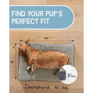 Orthopedic 24 Inch OhGeni Dog Bed - Waterproof