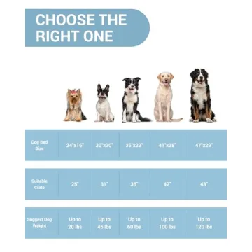 Orthopedic 24 Inch OhGeni Dog Bed - Waterproof