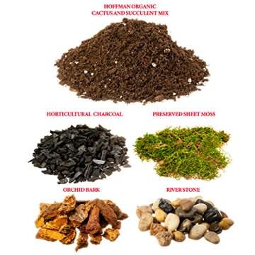 DIY Terrarium Kit with Organic Soil and Free eBook