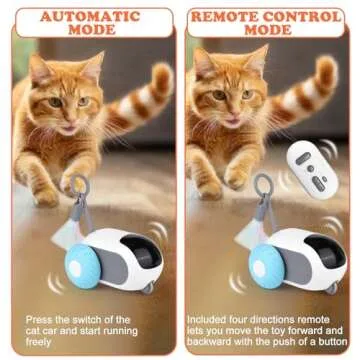 Mity Rain Cat Interactive Toy for Active Indoor Play