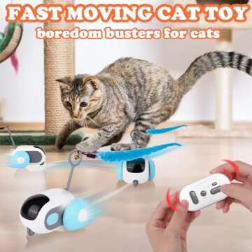 Mity Rain Cat Interactive Toy for Active Indoor Play