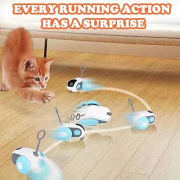 Mity Rain Cat Interactive Toy for Active Indoor Play