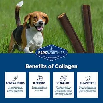 Barkworthies Plain Collagen Sticks - 6 Inch 8 Count (Pack of 1) - Long-Lasting, Single Ingredient