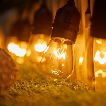 30 Pack S14 Clear Bulbs - Vintage Style Outdoor Lighting
