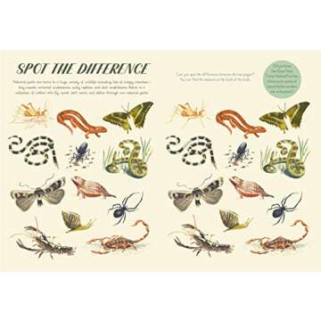 National Parks of the USA: Activity Book: With More Than 15 Activities, A Fold-out Poster, and 50 Stickers! (Americana, 2)