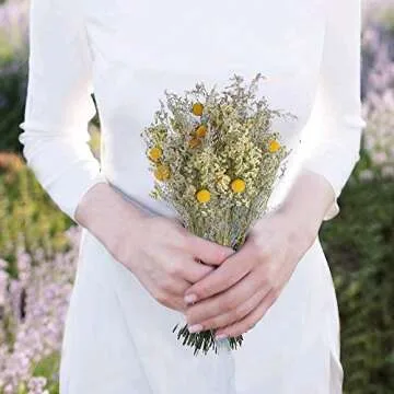 XHXSTORE 4 Bundles Natural Fall Dried Flowers Bouquet Craspedia Billy Buntton Balls Yellow Flowers Dried Floral Arrangements for Fall Home Kitchen Table Vase Wedding Boho Decor (17")
