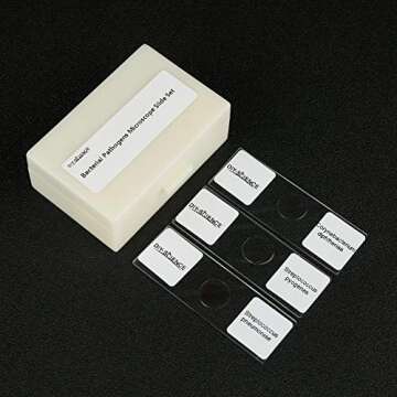 Prepared Bacterial Pathogens Microscope Slide Set, 12pcs Demonstrates The Bacteria Pathogens Respons...