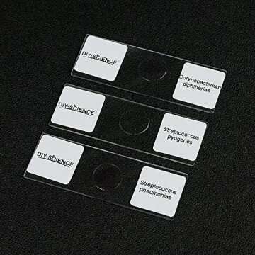 Prepared Bacterial Pathogens Microscope Slide Set, 12pcs Demonstrates The Bacteria Pathogens Responsible for Diseases of Animals