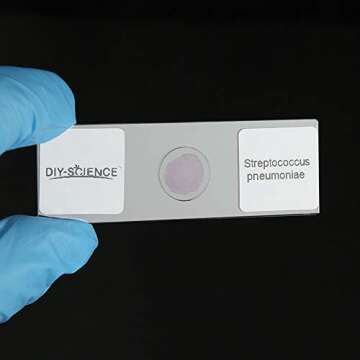 Prepared Bacterial Pathogens Microscope Slide Set, 12pcs Demonstrates The Bacteria Pathogens Responsible for Diseases of Animals