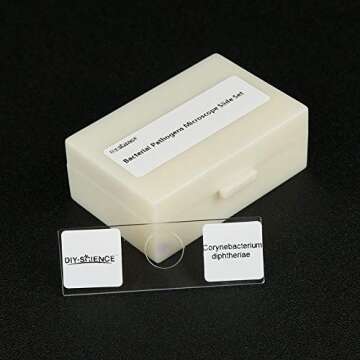 Prepared Bacterial Pathogens Microscope Slide Set, 12pcs Demonstrates The Bacteria Pathogens Responsible for Diseases of Animals