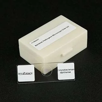 Bacterial Pathogens Microscope Slide Set – 12pcs for Education