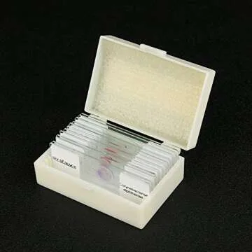 Bacterial Pathogens Microscope Slide Set – 12pcs for Education