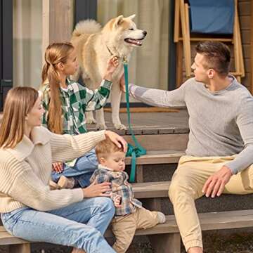 Viper K9 Biothane Working Dog Leash Waterproof Lead for Tracking Training Schutzhund Dog Sport & Search - Odor-Proof Long Line with Solid Brass Snap for Puppy Medium and Large 1/2" x 33ft Blue Aqua