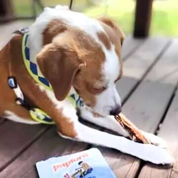 Pupford Standard Beef Tendon Chews for Dogs & Puppies, All-Natural Dog Chew with Glucosamine for HIPS and Joints, Long-Lasting Toy, Great for Teething (4 Count)