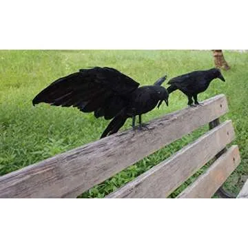 2-Pack Realistic Crows for Halloween Decor - Extra Large