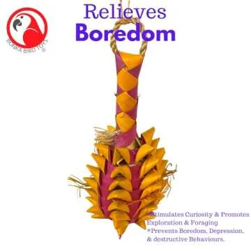 Bonka Bird Toys 03364 Small Pineapple Foraging Chew Shred Parrot Cage Toy Pet, Parrotlet, Cockatiel, Parakeet, and Similar Breed Sizes