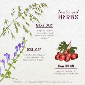 WishGarden Herbs Sleepy Nights for Kids - All-Natural Herbal Sleep Aid Tincture Without Melatonin, Organic Sleep Supplement with Passionflower & Scullcap, Supports Safe and Restful Deep Sleep, 2oz