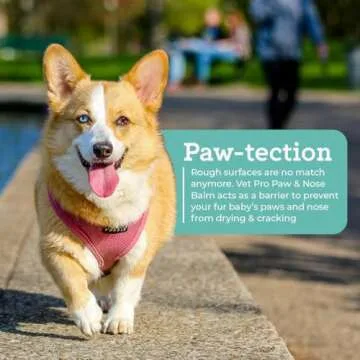 VetPro Complete Paw Balm for Dogs and Cats, 2 Ounces, Natural Protection and Paw Soother for Dry Pads and Noses, Vet Formulated Paw Butter and Foot Cream & Protection, Vitamin E & Aloe