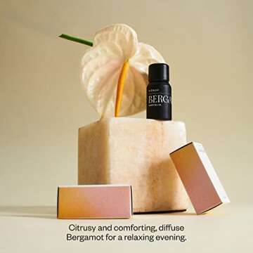 Vitruvi Bergamot, 100% Pure Premium Essential Oil (0.3 fl.oz)