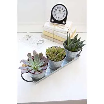 Vintage Caddy Planter Pots Set for Herbs & Succulents