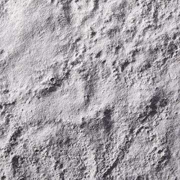 Ion 10 Level Charcoal Flash Lightener 16oz