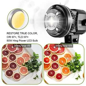 GVM Great Video Maker 80W Portable LED Video Light White 5600K Daylight Balanced Video Light, CRI 97+ Continuous Lighting Bowens Mount for Video Recording, Children Photography, Outdoor Shooting
