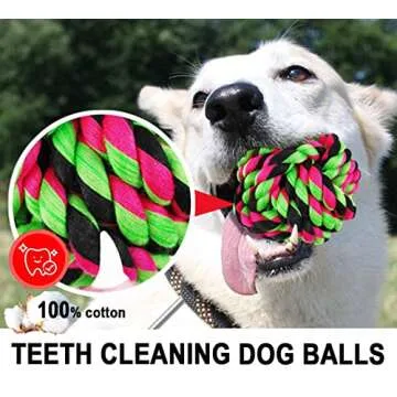 LosFong Large Dog Chew Toys for Aggressive Chewers 6 Pack