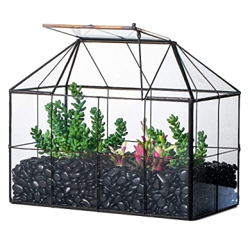 NCYP Glass Terrarium Planter with lid for Small Succulent Cacti - 9.84" x 5.31" x 7.87" Grid House S...
