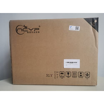 Stylish NCYP Glass Terrarium Planter for Succulents and Cacti