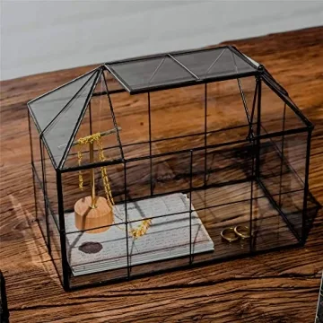 Stylish NCYP Glass Terrarium Planter for Succulents and Cacti