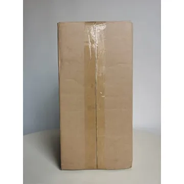 Stylish NCYP Glass Terrarium Planter for Succulents and Cacti