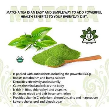 Buddha Teas - Organic Matcha Green Tea - For Health & Wellbeing - Organic Tea - With Antioxidants & Minerals - Clean Ingredients - Caffeinated - OU Kosher & Organic - 18 Tea Bags (Pack of 1)